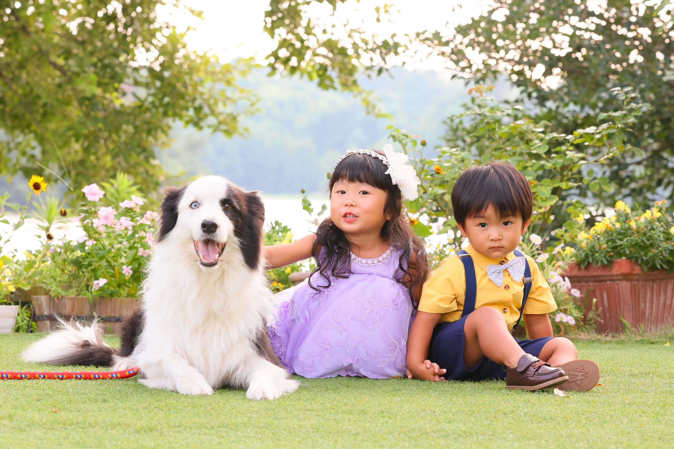 ペットと子供の記念撮影 名古屋フォトスタジオ