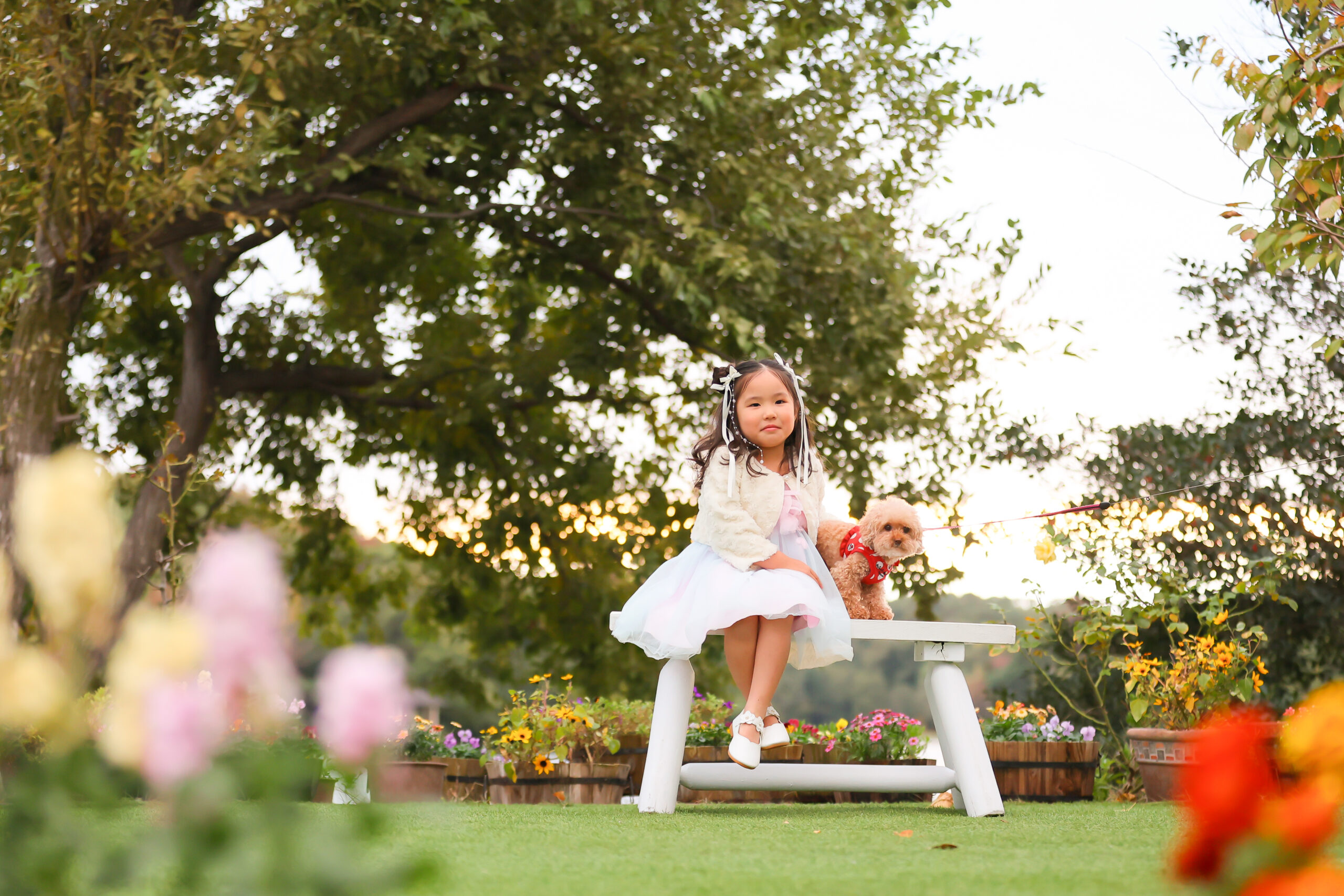 ペットと家族写真 名古屋フォトスタジオ